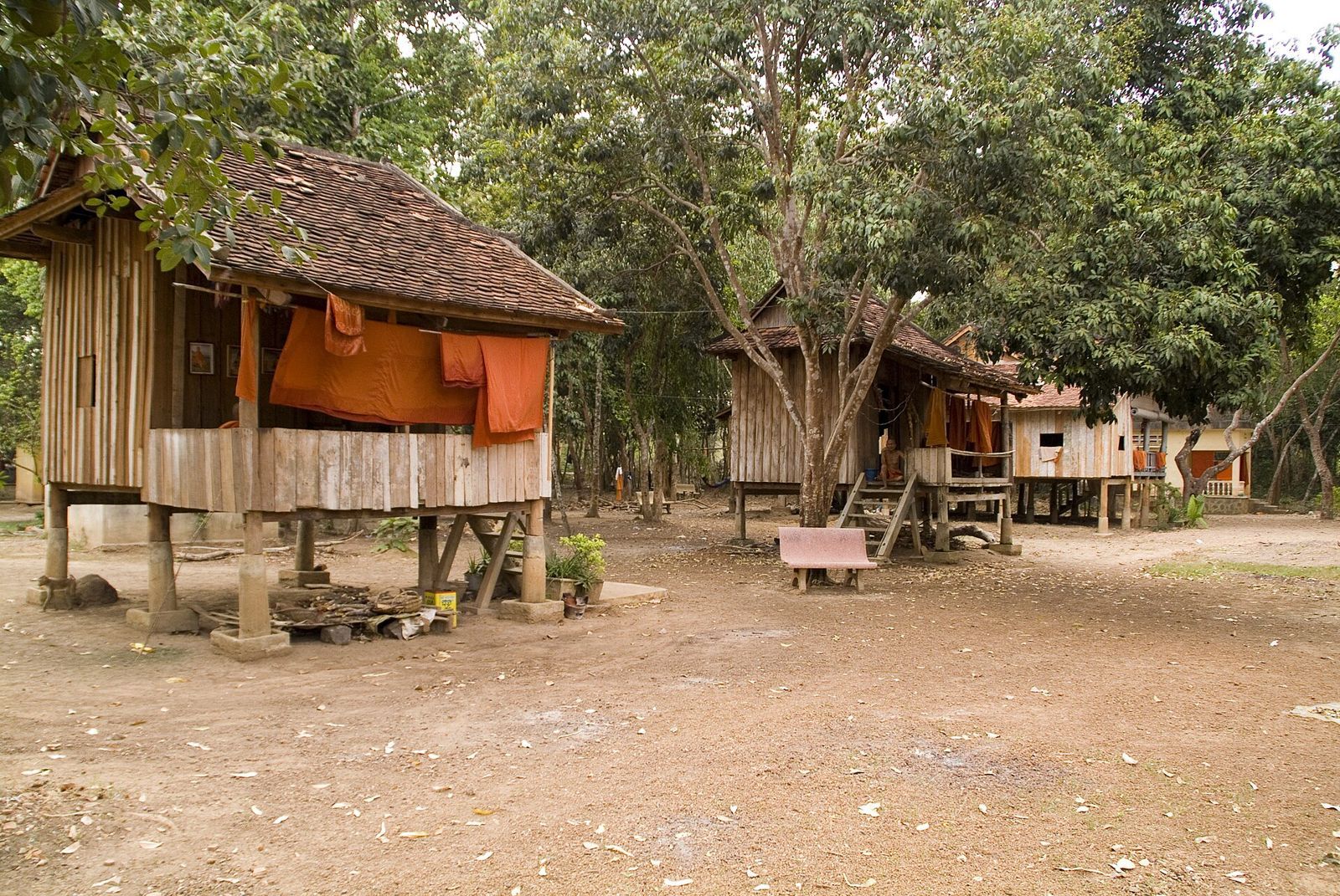 Houses sit on wooden stilts to protect them from flooding in a Peace Corps Volunteer’s community in rural Cambodia.