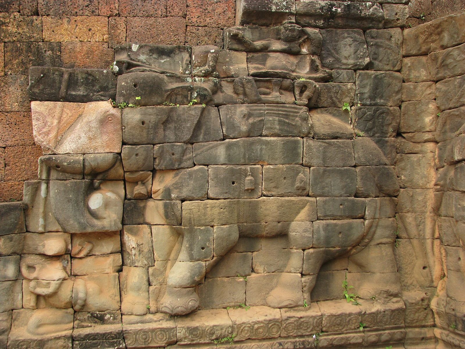 Elephant bas-relief carving at, you guessed it, the Terrace of the Elephants at Angkor Thom.